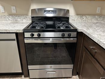 Gas range